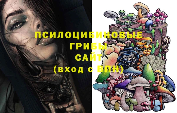 скорость Ивангород