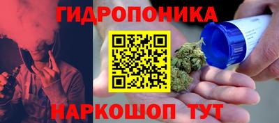 PSILOCYBIN Дубна
