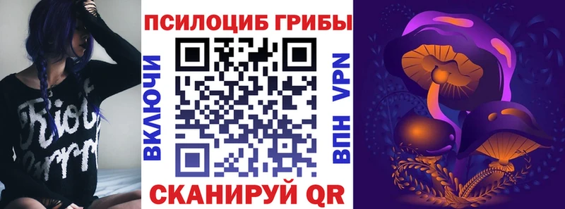 сайты даркнета как зайти  Острогожск  Галлюциногенные грибы Psilocybine cubensis 