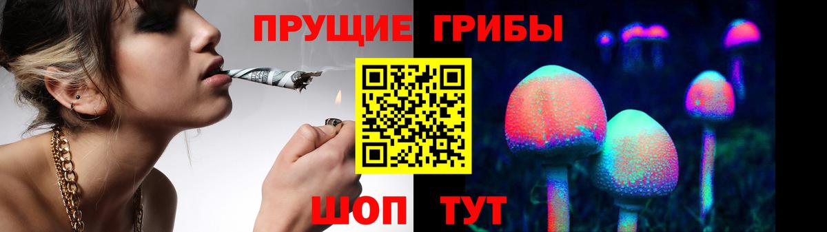 Галлюциногенные грибы GOLDEN TEACHER  Вход с VPN  наркошоп  Псилоцибиновые грибы Psilocybine cubensis  Острогожск 