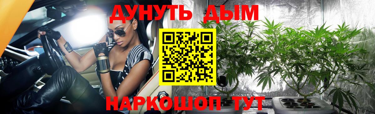 Шишки марихуана планчик  Вход с VPN  Шишки марихуана OG Kush  Шишки марихуана Ganja  Острогожск 